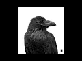 Rafael Cerato, ID ID - Orbital Decay - Octopus Recordings