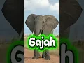 video ai superhero seekor gajah ketika diserang