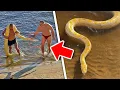 SWIMMING WITH A PYTHON Watch What Happens