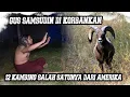 Download Lagu GUS SAMSUDIN JADI K0RBAN...QORBAN DIPONDOK NUSWANTORO ADA DARI AMERIKA #gussamsudinterbaru