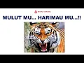 Lagu Mulutmu Harimau mu