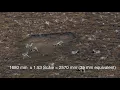 Download Lagu Lumix DC-FZ82: Wildlife Video at Extremely Long Distances