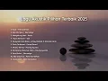 LAGU AKUSTIK PILIHAN TERBAIK 2025