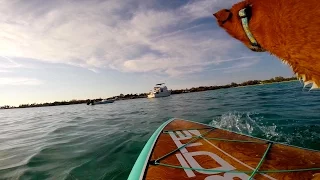 Paddle boarding in the Bahamas!