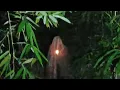 Download Lagu Live misteri ‼️MALAM KE 3 DI LOKASI INI