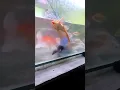 Download Lagu pertemuan #ikan #ikansapusapu #cover #ikanhias #aquarium #hobbyikan