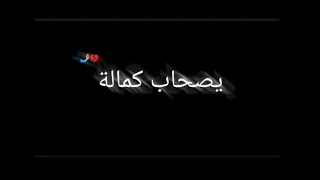 مهرجان الاسد والرعاع انتاج شركه بوبوس باشا 