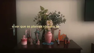 Ana Laura Lopes - Saudade (Lyric Video)
