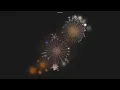 - git history visualization