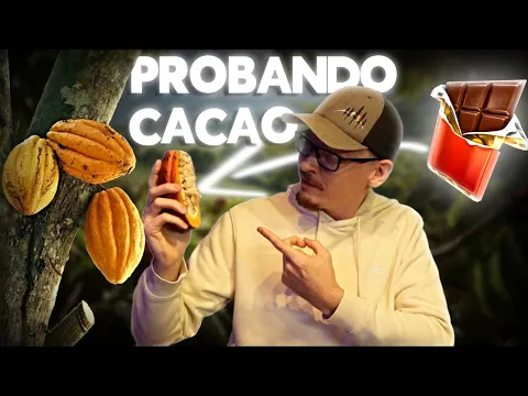 Probando CACAO por Primera Vez