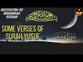 Download Lagu Verses from Surah Yusuf. Recitation of Mohammad Hisham! #Beautifulrecitation #SurahYusuf #Quran