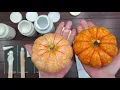 Waverly product comparisons and demonstration