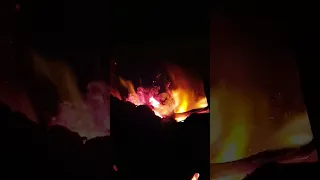 ألا يا قلب لا تحزن على صحب فقدناهم 