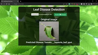 Leaf Disease Detection Flask App in Python - Advanced Deep Learning Project