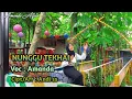 Download Lagu -NUNGGU TEKHAI - Voc: Amanda - cipt/Arr: Andi ss Download Lagu -NUNGGU TEKHAI - Voc: Amanda - cipt/Arr: Andi ss