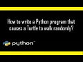 How to write a Python program that causes a turtle to walk randomly