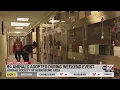 Success Nearly 100 adoptions in Harrisburg Clear The Shelters event