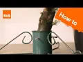 How to Care for Your Live Christmas Tree