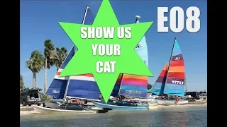 Show us your cat! E08 Spain, UK and USA