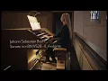 Karolina Juodelyte plays J.S.Bach Trio Sonata in E minor BWV 528/2