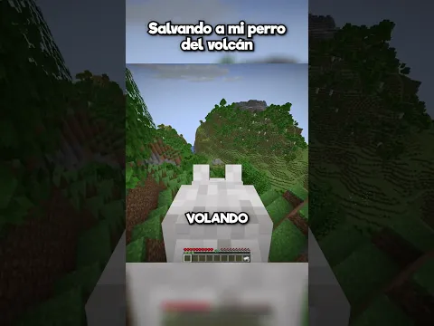 SONIDO YA BRO POR GALLETA!