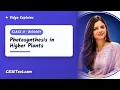 Class 11 Biology Photosynthesis in Higher Plants Vidya Explains CBSETest com