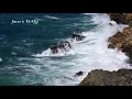 Download Lagu 2 jam terapi relaksasi dengan suara ombak di tepi pantai dan suara burung camar
