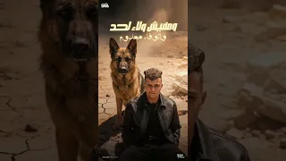 كلو اتساوس واتكالب   سوق الكلاب   عصام صاصا الكروان   توزيع كيمو الديب      دندنها