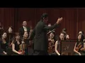 Brahms Symphony No. 4 - 1st Movement