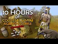 Loot From 10 Hours Of The Colossal Wyrm Agility Course