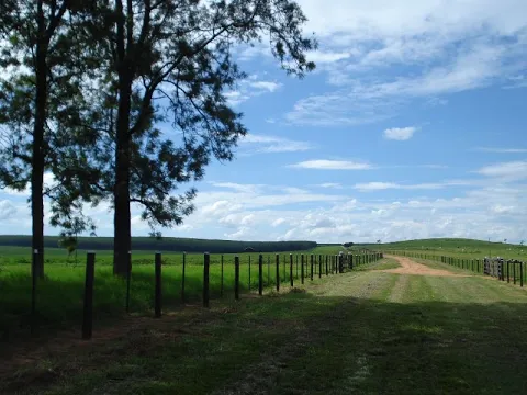 Download MP3 Fazenda Maravilhosa EM POMPÉIA-SP