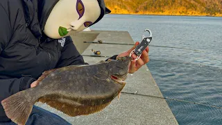 堤防の際にエサを落とし込むと、巨大なカレイが釣れた