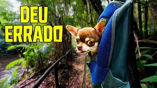 NOSSO PLANO DEU ERRADO… MAS A AVENTURA COMEÇOU! 😱🐶🌿