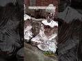 Download Lagu chromed on fiberglass bhudaa sculpture /@anhydrochrome /03228450664#fibergass #sculpture