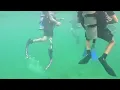 Florida s coral reefs suffer as temperatures rise