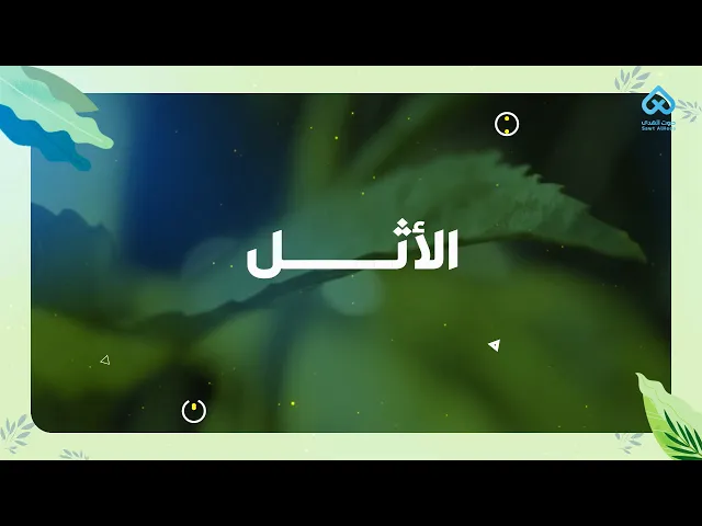النباتات في القرآن | الاثل 05