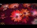 Lagu If I Were You (Lyrics) - Tamia