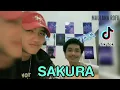 Download Lagu Senada Cinta Bersemi Diantara Kita ( Sakura ) Maulana Roffi