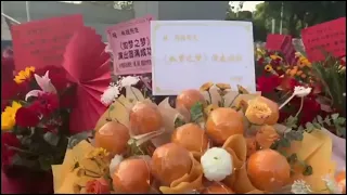 xiao zhan gets the red flower sea by fans for even dream like a dream