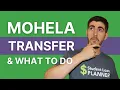 MOHELA Student Loan Transfer What it Means for You