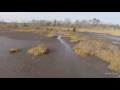 Low Tide in the Wetlands
