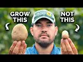 Watch This BEFORE You Plant Potatoes