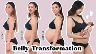 pregnancy transformation week by week tina yong