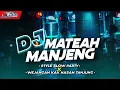 Download Lagu DJ PARTY MADURA MATEYA MANJHENG BASS NGUK •FYP TIKTOK• FIVESPEED ID