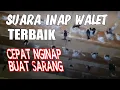 SUARA WALET INAP AKAU 22 MERUPAKAN RAJA PIKAT WALET TERBAIK #SuaraWalet #SuaraInapWaletTerbaik