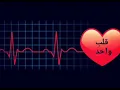 تم تحميل الفيديو//اني وانته قلب واحد❤❤❤جعفر الغزال ❤❤❤اجمل حالات واتساب ❤❤❤