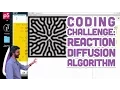 Coding Challenge Reaction Diffusion Algorithm in p5 js
