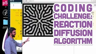 Coding Challenge Reaction Diffusion Algorithm in p5 js