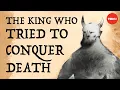 Download Lagu The epic of Gilgamesh, the king who tried to conquer death - Soraya Field Fiorio