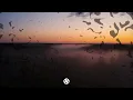 Ha*Ash, Kenia Os - Mi Salida Contigo (Letra/Lyrics)